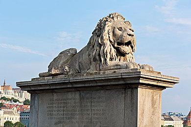 天妒英才 24岁马拉松世界纪录保持者车祸去世